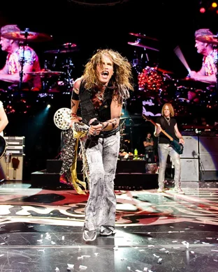 Sincere Engineer Carrboro