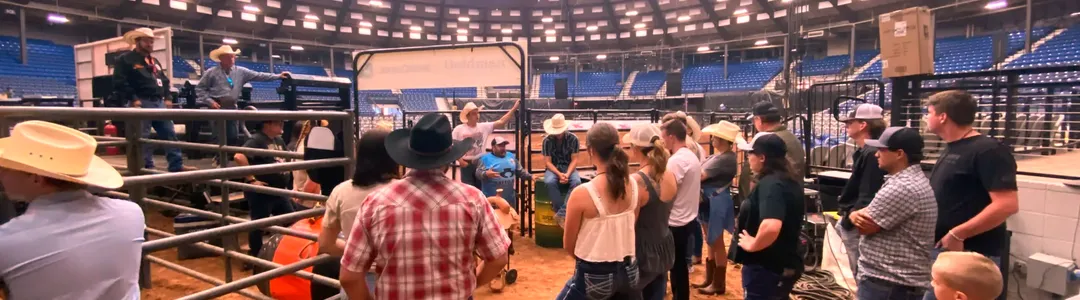 Bulls, Bands And Barrels