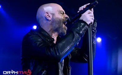 Daughtry