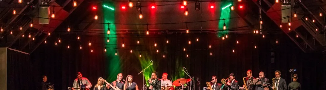 Dirty Logic - Steely Dan Tribute Band