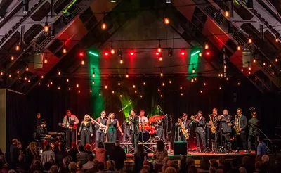 Dirty Logic - Steely Dan Tribute Band