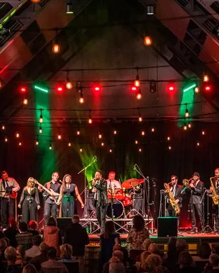 Dirty Logic - Steely Dan Tribute Band
