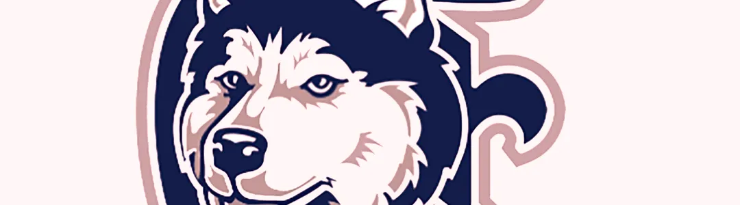 Duluth Huskies