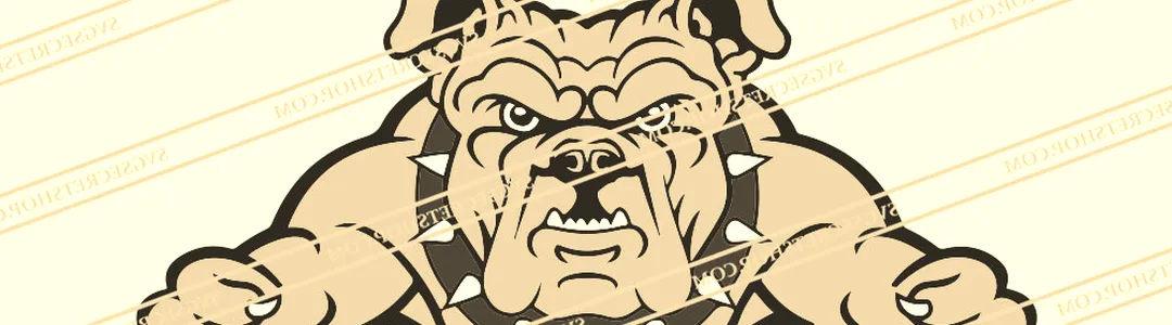 North Carolina A&T Aggies Football