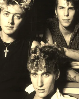 Stray Cats